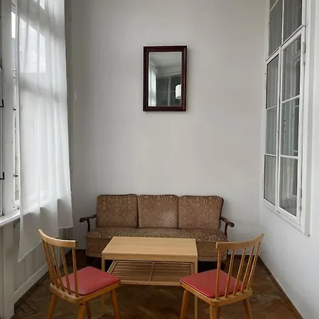 Geraeumige Altbauwohnung Im Zentrum Graz