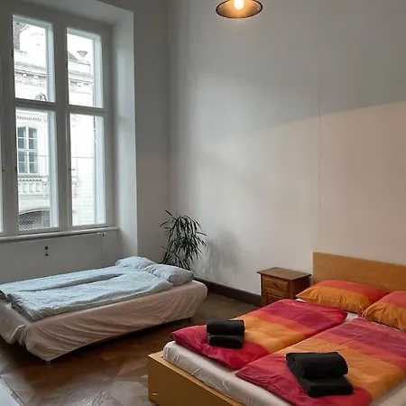 Geraeumige Altbauwohnung Im Zentrum Graz