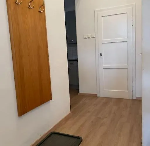 Geraeumige Altbauwohnung Im Zentrum * Graz